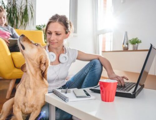 How One Veterinarian Makes $1k/mo+ Offering Telehealth